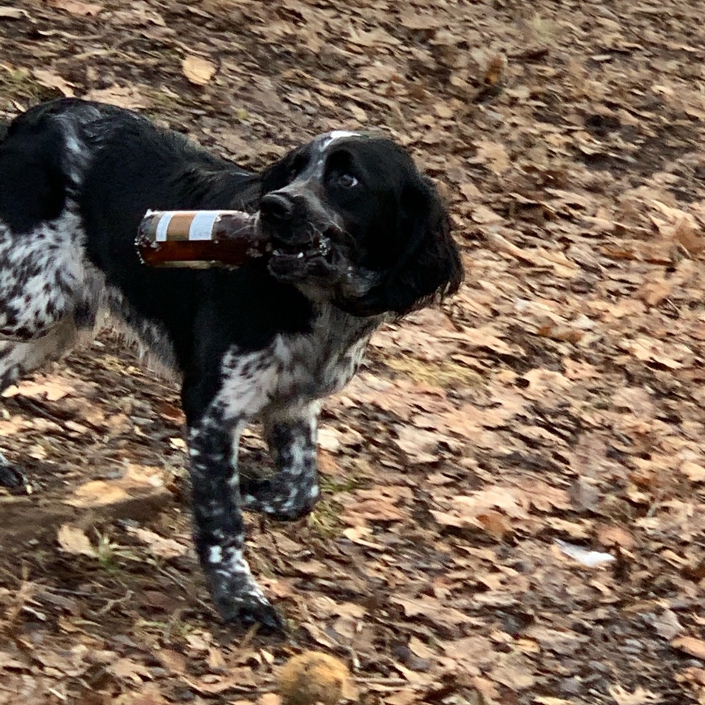 Meet your Posher, Maddy